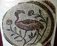 ibis-mosaic