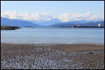 jericho-beach-51