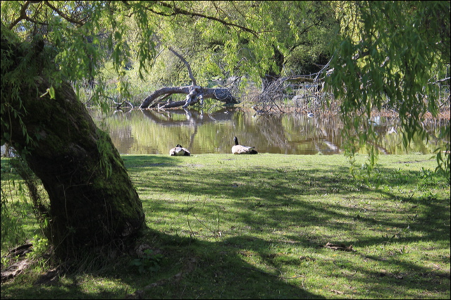 jericho-beach-01.jpg