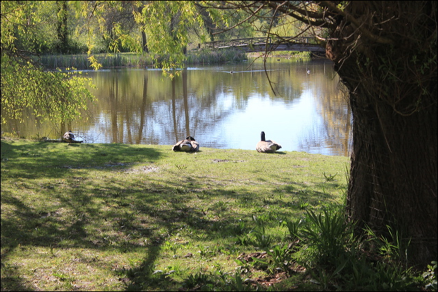 jericho-beach-02.jpg