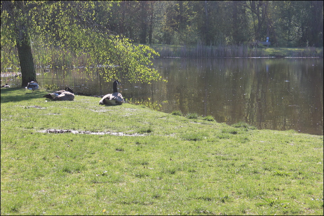 jericho-beach-03.jpg