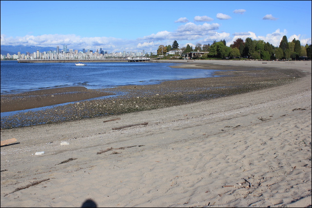 jericho-beach-42.jpg