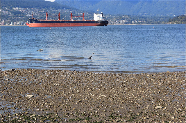 jericho-beach-46.jpg