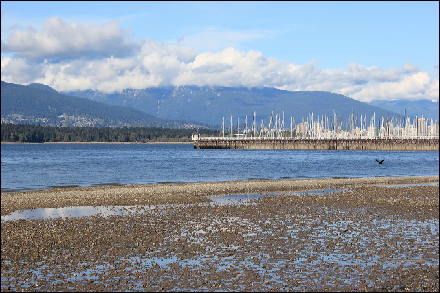 jericho-beach-50.jpg